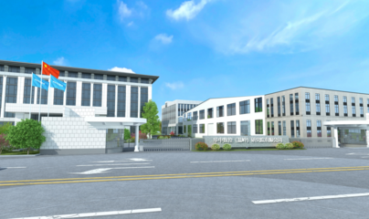 信息技术咨询服务发展历程大事记